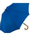 AC regular umbrella