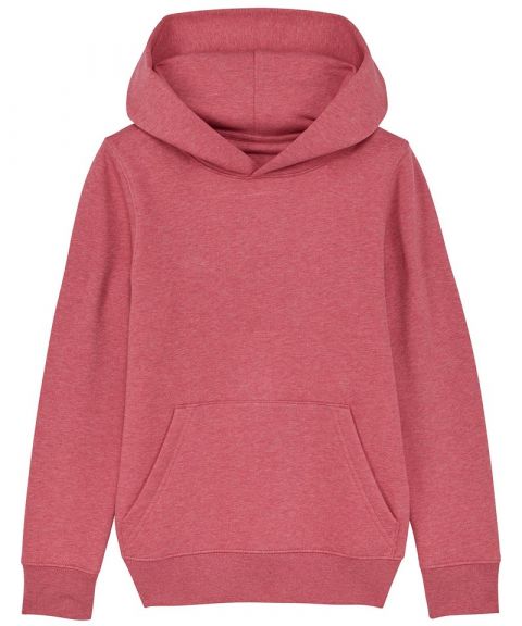 Kids mini Cruiser iconic hoodie sweatshirt (STSK911)