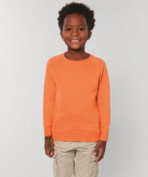 Kids mini Scouter iconic crew neck sweatshirt (STSK916)