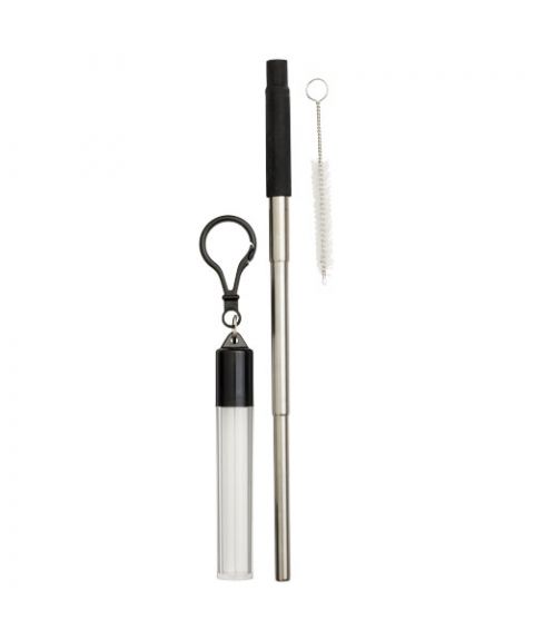 Zeya reusable stainless steel straw keychain