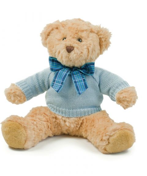 Teddy jumper