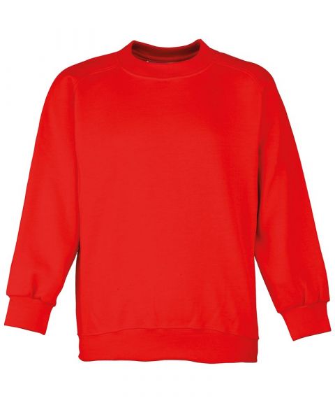 Kid’s Coloursure™ Curved Raglan Sweatshirt