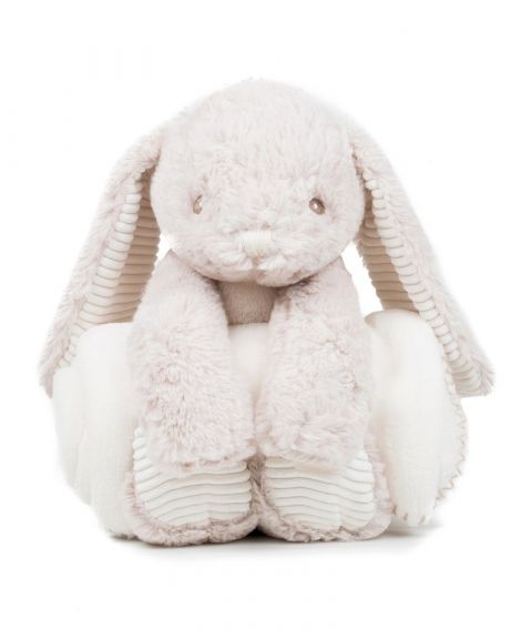 Rabbit and blanket