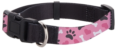 Sublimation Dog Collar Medium 2.5 x 56cm